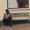 rose - @byambrosehill - TikTok