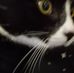Amy Taylor - Facebook