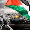 Ameer Hammad - @ameer.hammad4 - TikTok