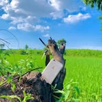 Ameer Hammad - Facebook