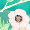 Ameer Major973 - @user07815108 - TikTok