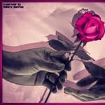 Ameeralmayas - @ameeramayas - Instagram