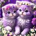 Amel Ahmed - Facebook
