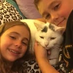 Amelia and Aaron - @aaron.and.amelia - Instagram