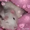 Amelia Alberto - @_.meliia._ - TikTok