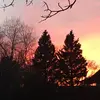 1Amelia_Alva - @1amelia_alva - TikTok