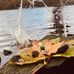Amelia Barclay - Facebook