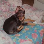 Amelia Bianchi - Facebook