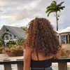 Amélia Boyer - @amelia_byr - TikTok