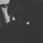 Amelia Boyer - @ahemahem_excuse.me_wut - Instagram