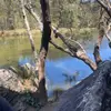 amelia_brady - @amelia_brady - TikTok