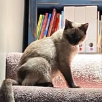 Amelia Brady - @meliamonkey - Instagram