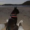 Amelia Brady - @amelia.brady0 - TikTok
