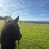 amelia - @amelia.bryan1 - TikTok