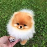 Amelia Bryan - @alyssabrooks7362 - Instagram