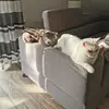 AMELIA - @ameliabucky - TikTok