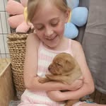 @amelia.buddy.buster14 - Instagram