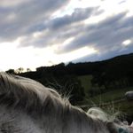 Amelia Budd - @_amelia_budd - Instagram