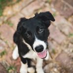 Amelia Bull - Facebook