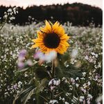 Amelia - @bye.amelia - Instagram
