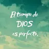Amelia Campos - @amelia.campos91 - TikTok