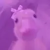 amelia.campos;) - @amelia.camposss - TikTok