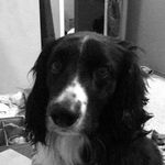 Amelia Capel - @ameliacapel20103 - Instagram