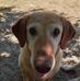 Amelia Carroll - Facebook