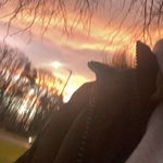 Amelia Cartwright - @amelia_cart201 - Instagram