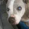 ameliacartwright729 - @ameliacartwright7 - TikTok