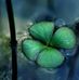 Maria Amelia Casella - Facebook