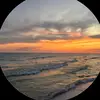 Amelia.chapman - @amelia.chapman16 - TikTok