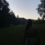 Amelia Cheney - @ameliacheney1 - Instagram