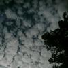 amelia.cheney.999 - @cheney_amelia - TikTok