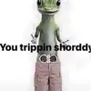 mia - @amelia.cheney - TikTok