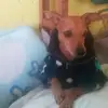 Amelia Cipriano - @amelia.cipriano7 - TikTok