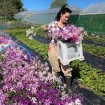 Amelia Cooper smith - @ameliasflowerfarm - Instagram