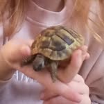 Amelia Isabella crabtree - @daisy_thetort - Instagram