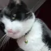 Lia - @amelia.dodson.b4ckup - TikTok