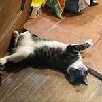 Amelia Ewing - @ilovewatchingmovies0 - Instagram