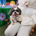 Amelia Fleming - @ameliafleming326 - Instagram