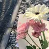 💐🌷🌹🥀🌻 - @floraameliaa - TikTok