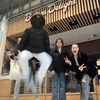 amelia - @amelia..graham - TikTok