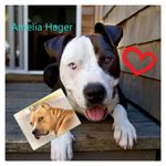 Amelia Perl Hager - @perl_amelia - Instagram