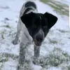 amelia.hager - @amelia.hager60 - TikTok