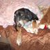 Amelia Hall - Facebook