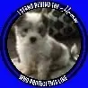 ameliahowell475 - @ameliahowell475 - TikTok