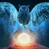 Amelia Hurst - @amelia.hurst0 - TikTok
