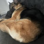 Amelia Hutton - @amelia_your_no.1 - Instagram