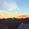 ️amelia - @.ameliaingram - TikTok